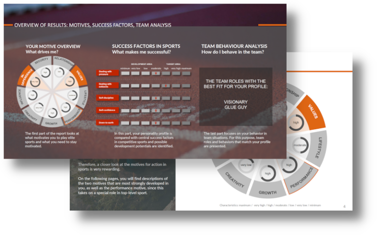 LINC SPORTS PROFILER