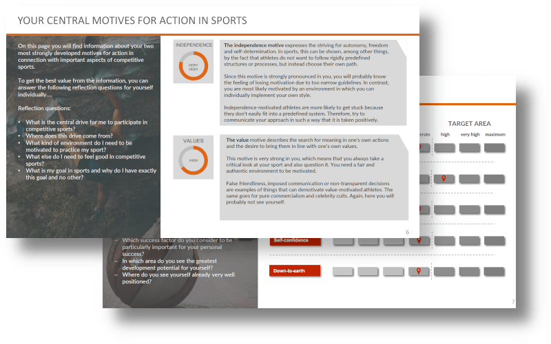 LINC SPORTS PROFILER